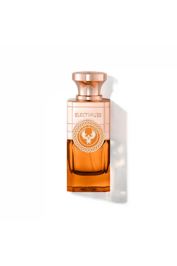 Spice d'Arno - ELECTIMUSS